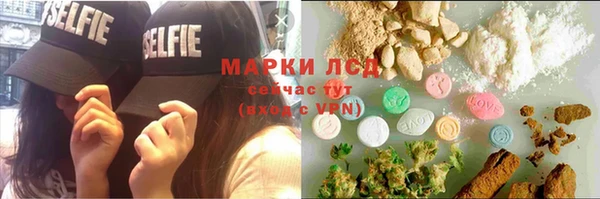 хмурый Магас