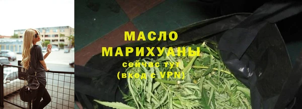хмурый Магас