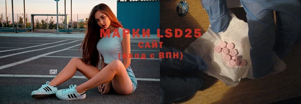 хмурый Магас