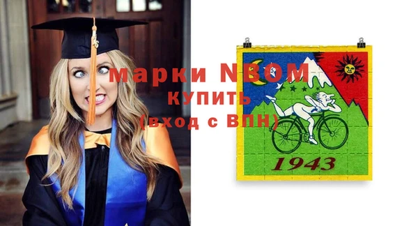 хмурый Магас