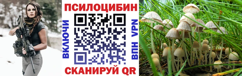 Галлюциногенные грибы Psilocybe Чердынь